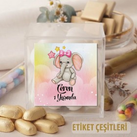 Kare Etiket 077 - Fil Temalı Kız Bebek Etiket