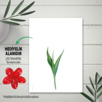 Hediyelik Kartı