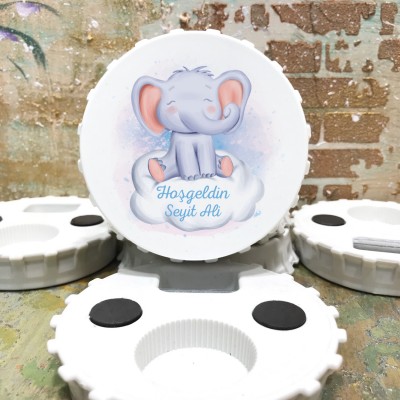 Magnet modelleri