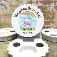 Magnet modelleri