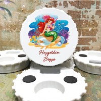 Magnet modelleri