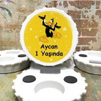 Magnet modelleri