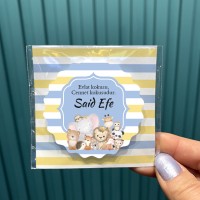 Resimli Magnet